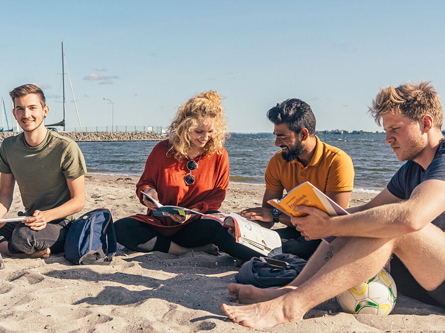 [Translate to English:] Internationale und nationale Studierende lernen am Strand