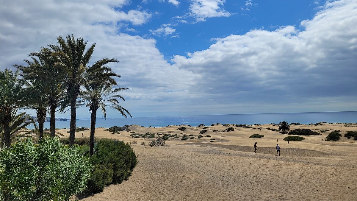 Spanien - Universidad de Las Palmas de GC