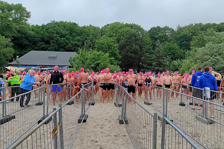 Viele Schwimmer beim Start zum Sundschwimmen 